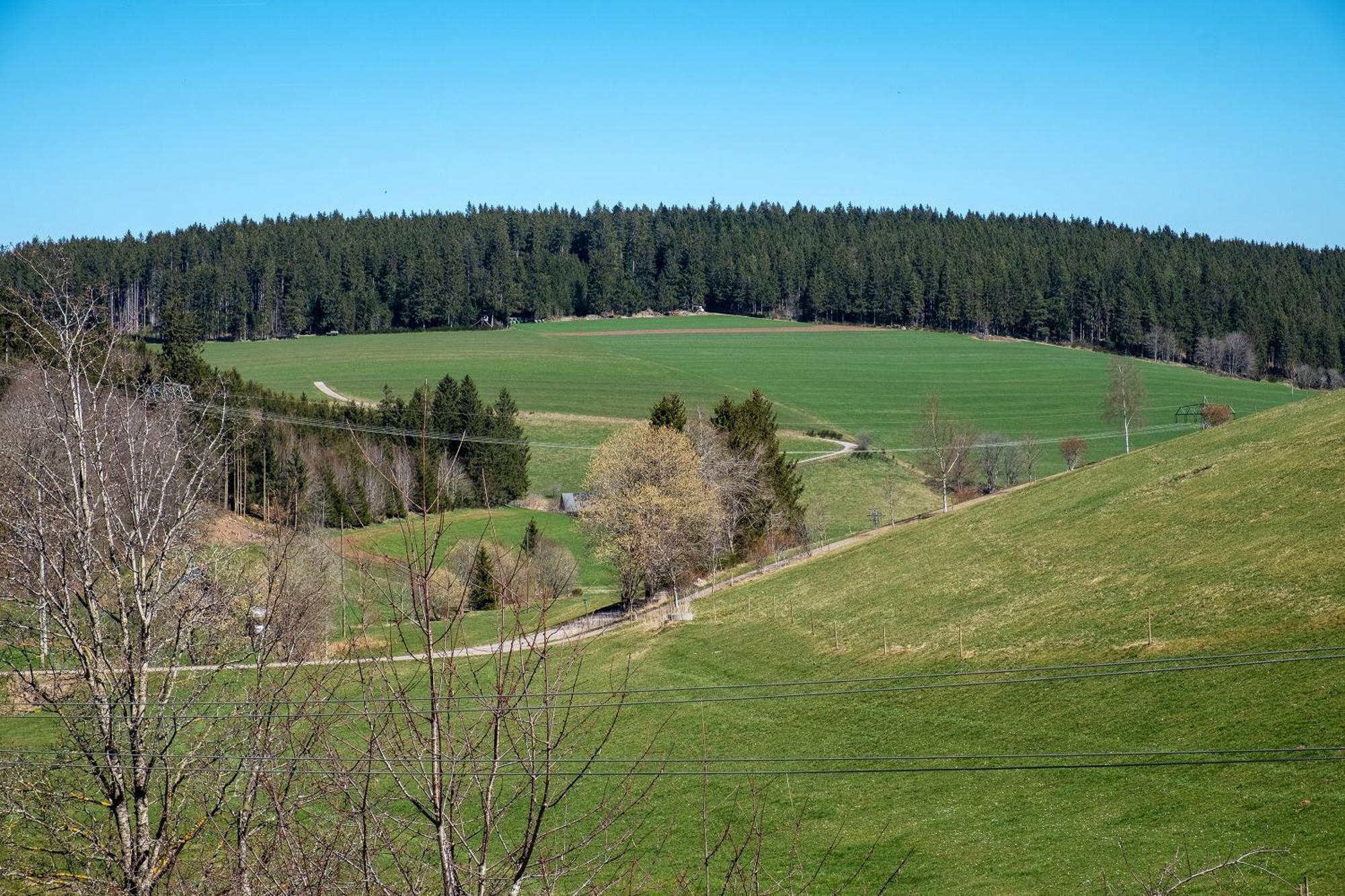 Ferienwohnung Armbruster 黑林山区圣格奥尔根 外观 照片