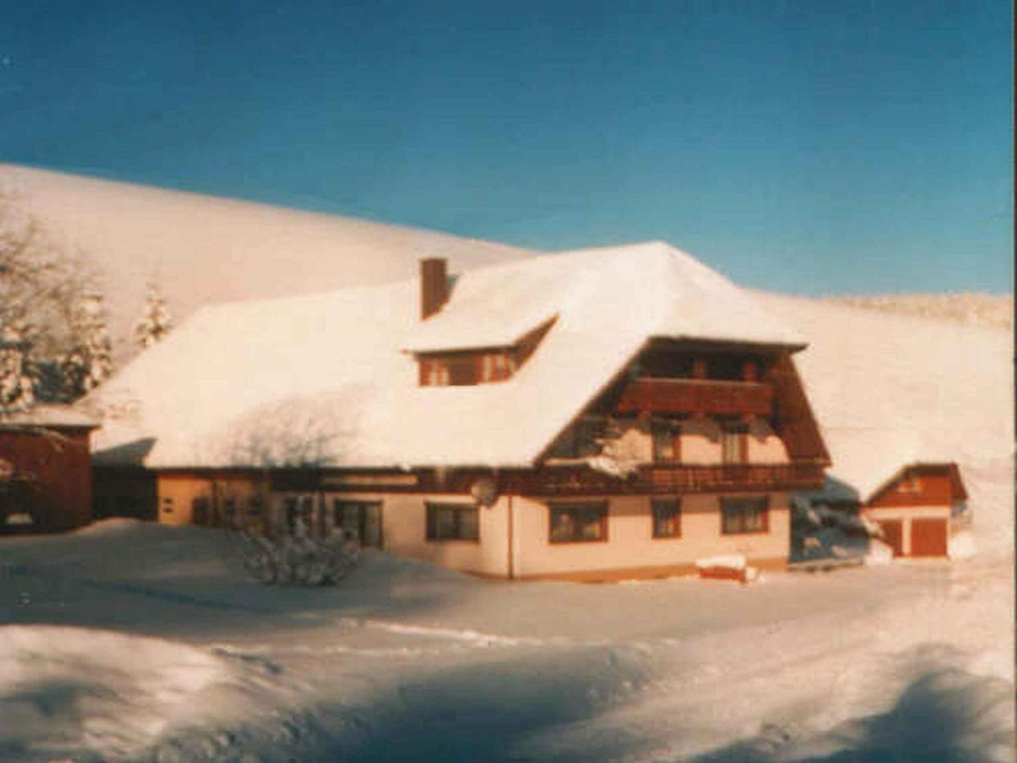 Ferienwohnung Armbruster 黑林山区圣格奥尔根 外观 照片