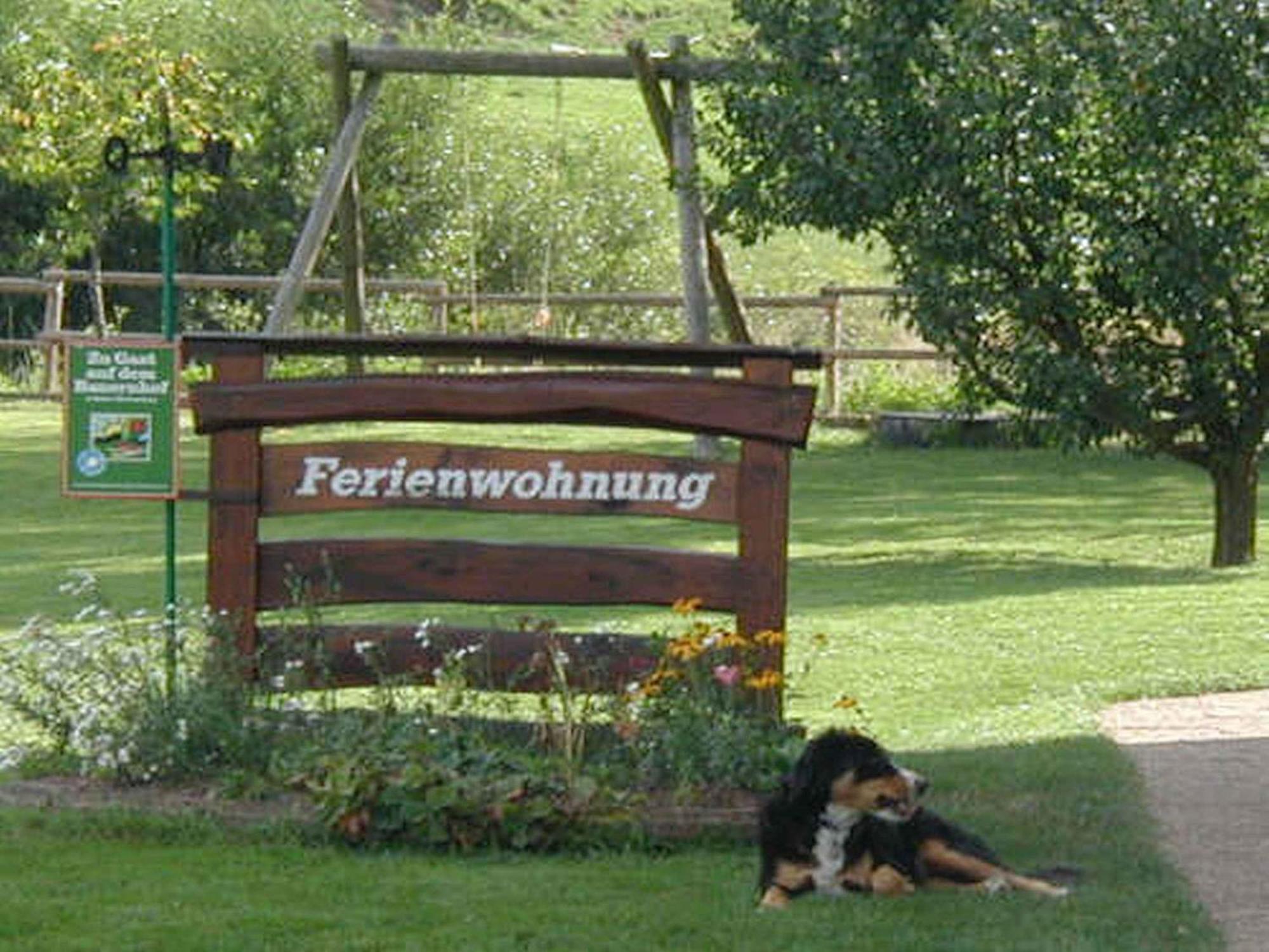 Ferienwohnung Armbruster 黑林山区圣格奥尔根 外观 照片